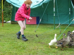 Tents erected and time to feed the ducks
