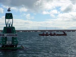 Start of Race Dunlaoghaire Harbour