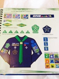 Badges on Jumper