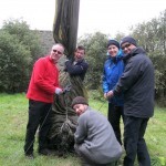 Volunteering work