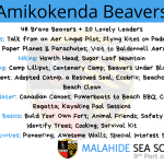Amikokenda Beavers