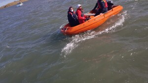 WhatsApp Image 2022-03-05 at 6.08.35 PM (5)